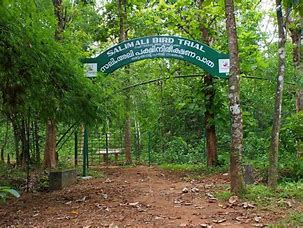 Bird Watching at Salim Ali National Park